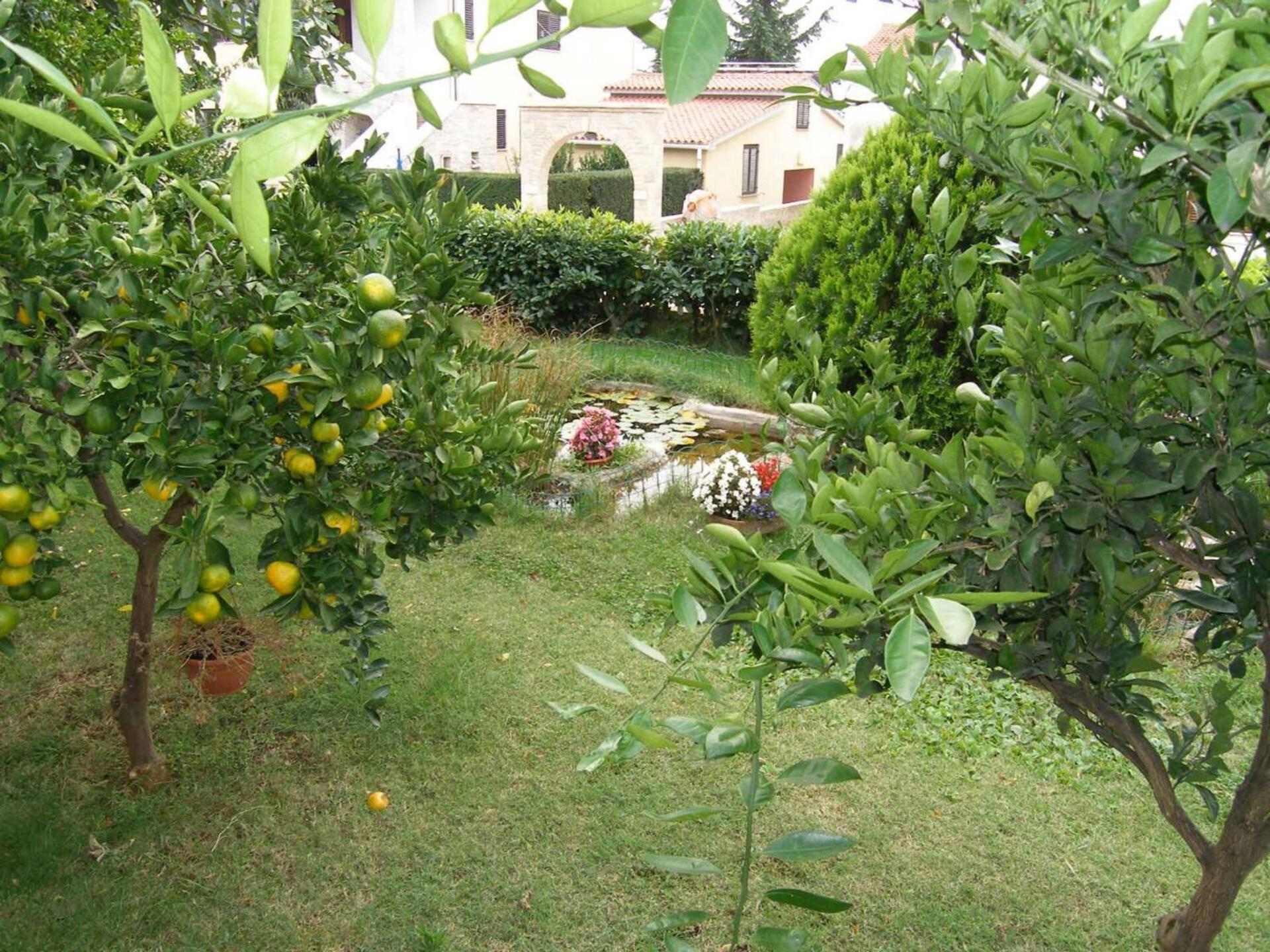 Family House With 2 Apartments - Irma Medulin Luaran gambar